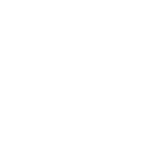 智传科技logo