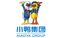 小鸭集团